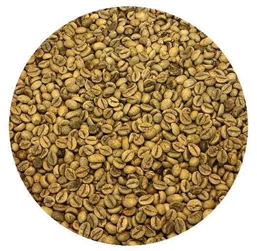Robusta green coffee beans