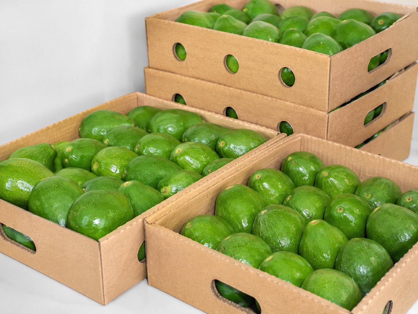 Smooth green avocados packed in produce boxes